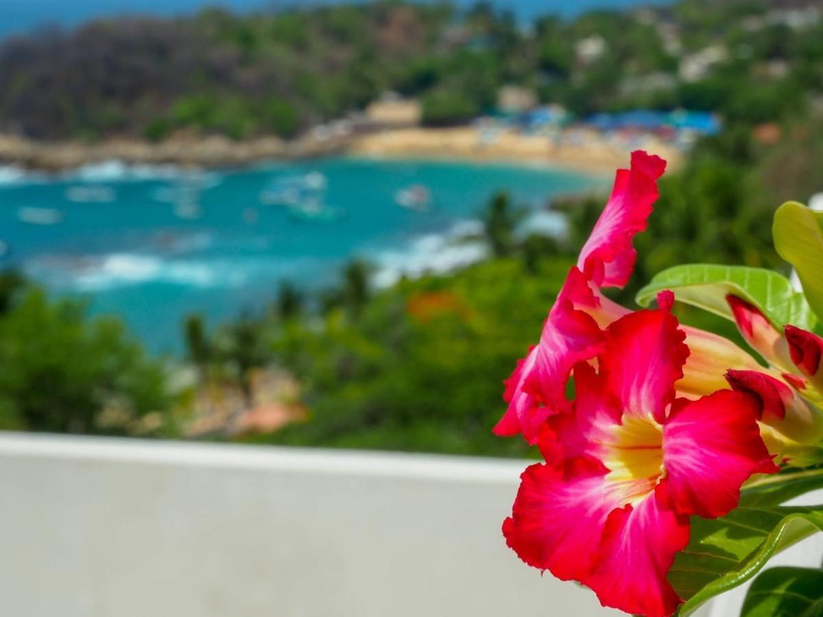 Casa Cascada - Adults Only Hotel Puerto Escondido  Eksteriør billede